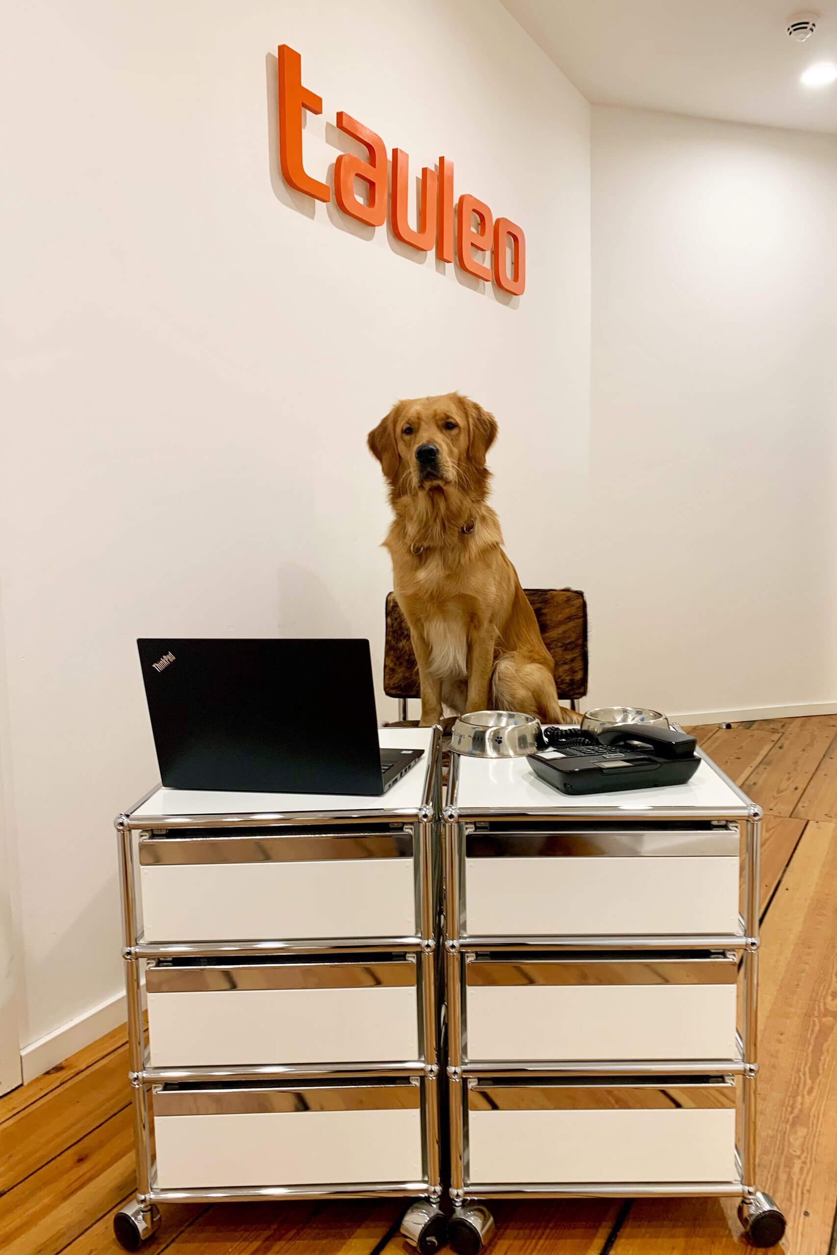 Gonzo_offiziell_bearbeitet